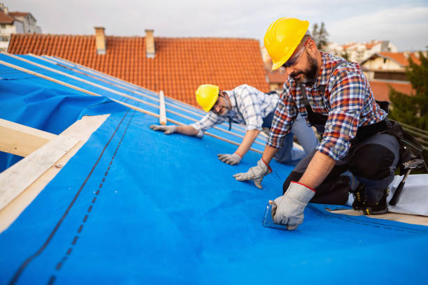 Quick and Trustworthy Emergency Roof Repair Services in Live Oak, FL